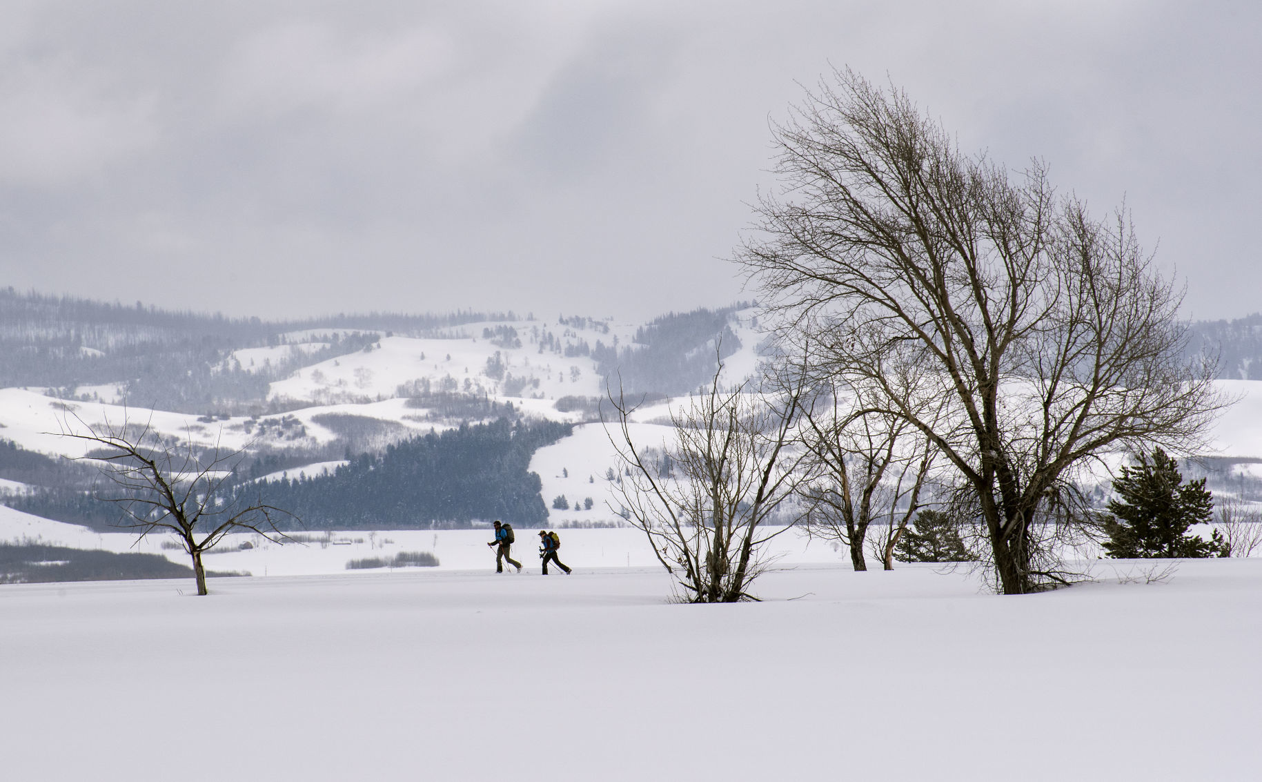 Grand Teton National Park skiing